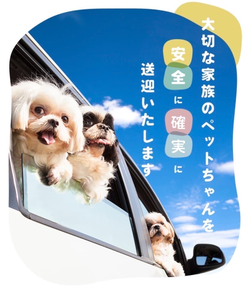 ペットタクシー cocoタク福岡東